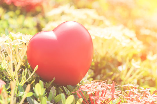 Red Heart on Green spike flower tree for love and Valentine's Day Background