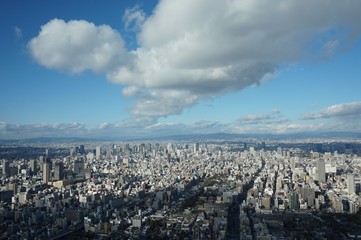 Fototapeta premium あべのハルカス 梅田