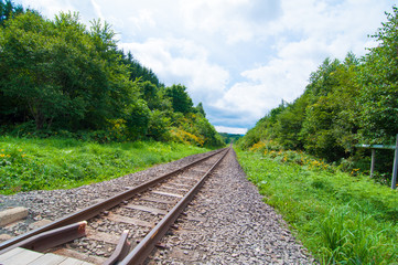 Fototapeta premium 線路は続きよ 夏の北海道