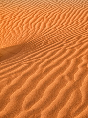 Sand Dunes texture