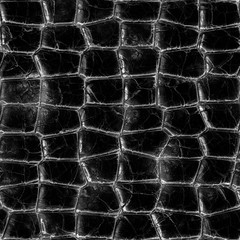 Repeating crocodile skin  pattern