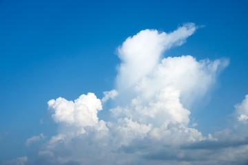 Naklejka na ściany i meble Rabbit cloud in the sky