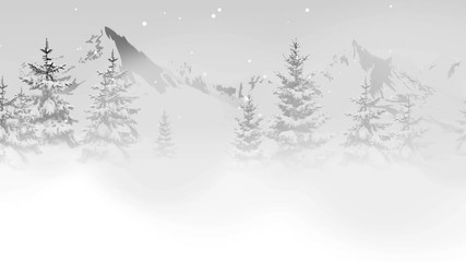 Snow falls in a beautiful, remote forest creating a white, Christmas winter wonderland.
