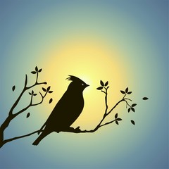 Silhouette Bird And Sunset Vector Illustration