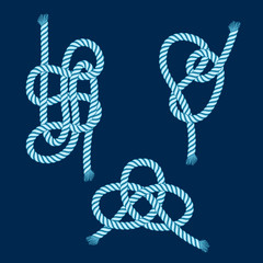 Vector nautical knot
