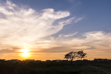 Fototapeta na wymiar Rural scene at sunset