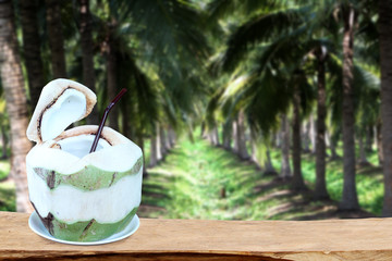 Coconut on wooden Palm tree backdrop.