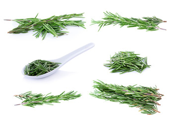 rosemary isolated on white background