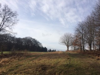 Obraz premium Naturlandschaft im Winter ohne Schnee