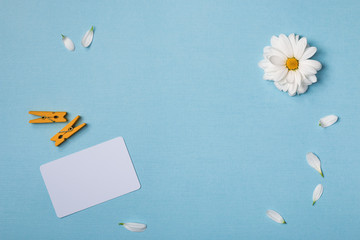 Spring top view composition:  business / credit / visiting card mockup,  scattered petals around, white flower with yellow heart, clothespins. Sky blue background with copy space for text. Flat lay.
