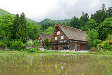 Fototapeta na wymiar world heritage village Shirakawa Village