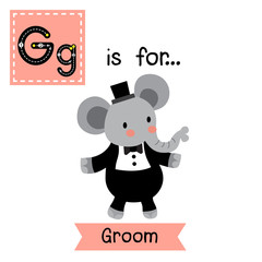 Cute children ABC alphabet G letter tracing flashcard of Groom for kids learning English vocabulary in Valentines Day theme.