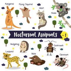Nocturnal Animals cartoon on white background with animal name. Set 1.