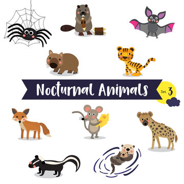 Nocturnal Animals cartoon on white background. Set 3.