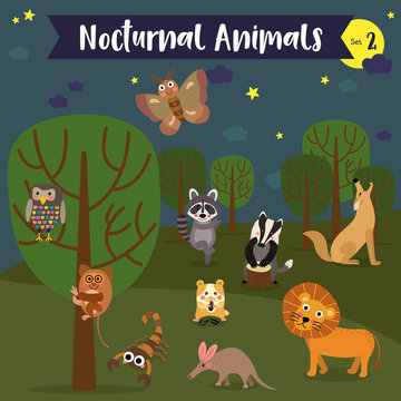 Nocturnal Animals cartoon with forest background. Set 2.
