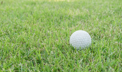 close up golf ball on the green