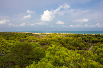 Dunes de La Marina