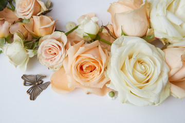Roses on white background