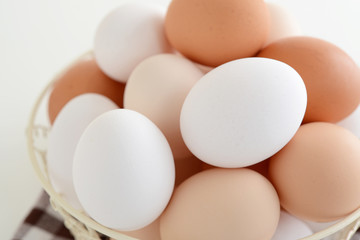 新鮮な玉子