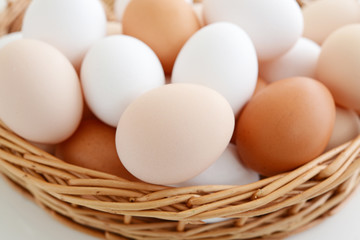 新鮮な玉子