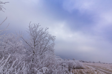 Beautiful winter scenery with trees covered by frost, along frozen river, and storm clouds