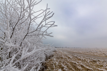 Beautiful winter scenery with trees covered by frost, along frozen river, and storm clouds