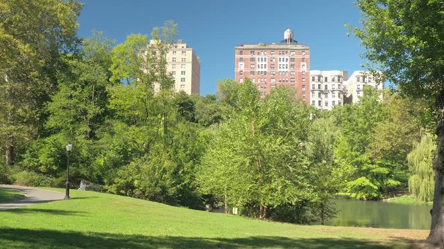 CLOSE UP: The pool in beautiful lush green Central park in sunny New York City