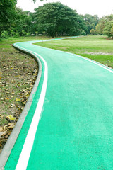 Bike path Nature Watch Forest Green fresh air bridge wood tree