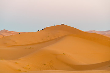 Fototapeta premium Sahara Desert , tourist Climbing 