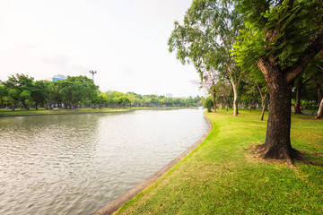 Fototapeta na wymiar Green park landscape in urban with lake
