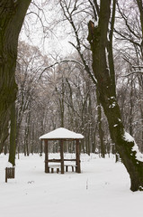 Wooden house in forest.
