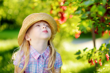 Cute little girl picking red currants in a garden on summer day