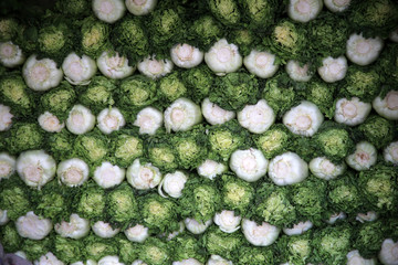 Chinakohl in China auf dem Markt, Hintergrund