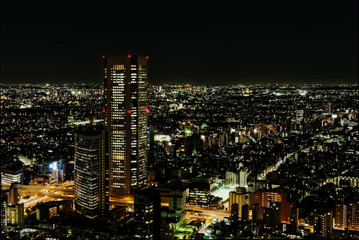 Fototapeta na wymiar Tokyo at night