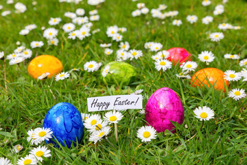 Painted Easter eggs in grass with white daisies
