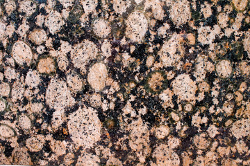 Spotted granite texture, close-up photo