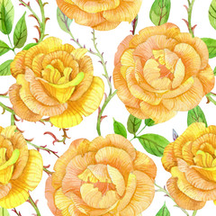 Yellow roses seamless pattern.