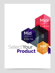 Business a4 brochure or flyer template with options