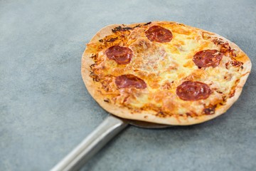 Italian pizza placed on a spatula