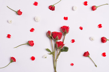 Bunch of roses on white background.