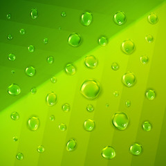Realistic water drops on green leaf background