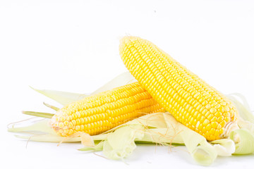 sweet corn on cobs kernels or fresh grains of ripe corn on white background corn vegetable isolated
