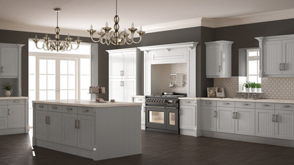 Classic kitchen, scandinavian minimal interior design with woode