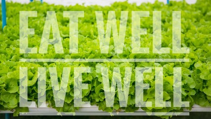 Eat well live well words on green vegetable hydroponic food background.