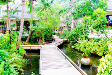 Trees in the walking way Garden for background