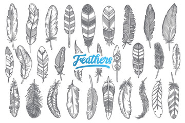 Hand drawn feather doodle set with blue lettering in vector © drawlab19