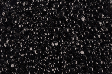 Black Caviar