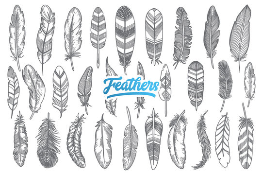 Hand drawn feather doodle set with blue lettering in vector