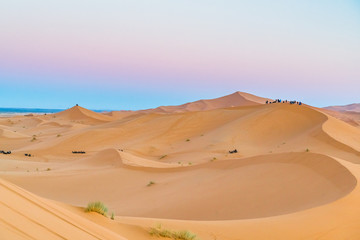 Fototapeta na wymiar sand desert 