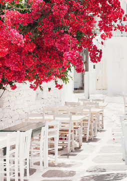 Fototapeta Traditional greek street with flowers in famous Mykonos island, Greece